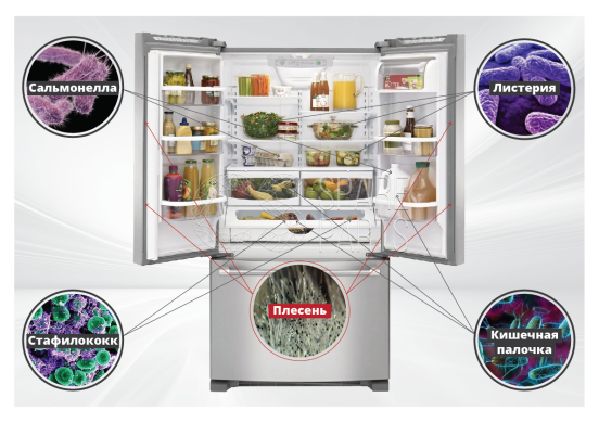 Refrigerator & freezer cleaner 500 ml WPRO C00384872 (484000008770)